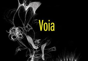 Voia