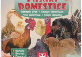 Prima carte cu Păsări Domestice