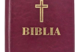 Biblia (grena, cu fermoar)