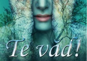 Te văd! Urlet în tacere (Vol.2)