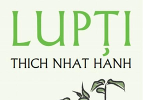 Cum să lupți (Vol. 6)