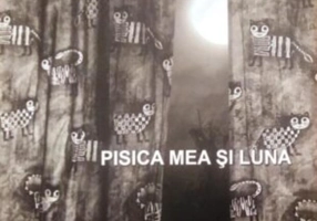 Pisica mea și luna