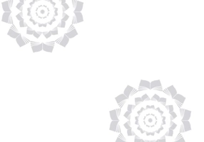 Harry Potter and the Chamber of Secrets: Illustrated Edition