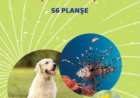 Mapă - Animale și păsări domestice, animale marine, insecte și alte vietăți