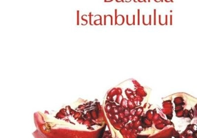 Bastarda Istanbulului (Top 10+)