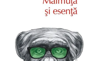 Maimuţă şi esenţă (Top 10+)