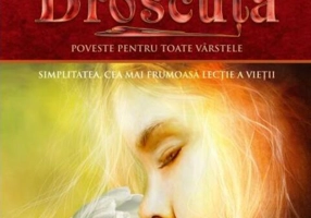 O inimă de Broscuță (Vol. 8). Simplitatea, cea mai frumoasă lecție a vieții