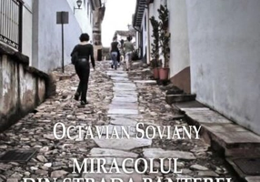 Miracolul din strada Panterei. Teatru (Vol. I)