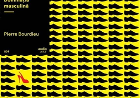 Dominația masculină | vinil audiobook