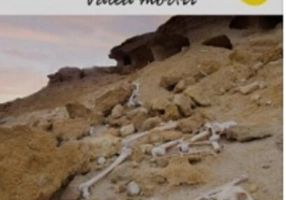 Inimi Germane. Valea morții (Vol. 2)