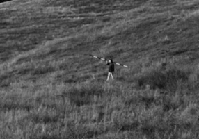 Revista IDEA artă+societate, nr. 49 (2016)