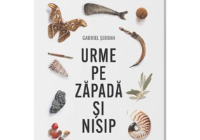 Urme pe zăpadă și nisip