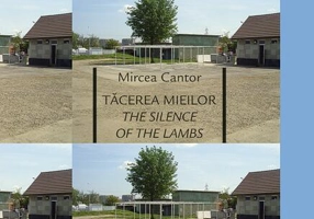 Tăcerea mieilor. The Silence of the Lambs. Carte de artist. Artist Book