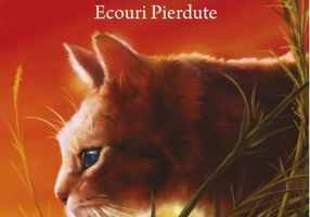 Ecouri Pierdute (Vol.20)