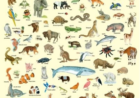 Planșă - 100 de animale