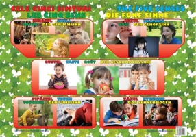 Planșă - Cele cinci simțuri