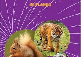 Mapă - Animale sălbatice