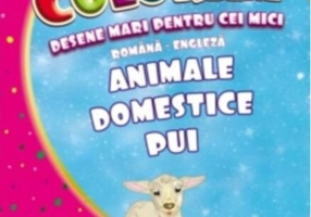 Animale domestice pui. Desene mari pentru cei mici română-engleză
