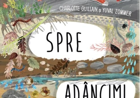 Pas cu pas spre adâncimi