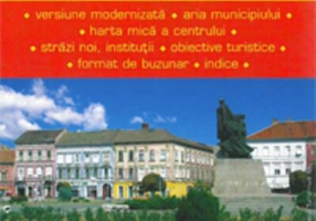 Hartă rutieră Arad-Timișoara