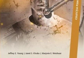 Terapia centrată pe scheme cognitive. Manualul practicianului