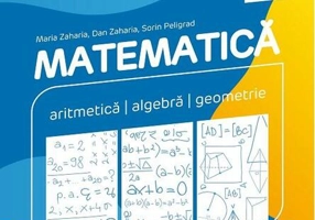 Matematică. Aritmetică, algebră, geometrie. Clasa a V-a. Consolidare. Partea I