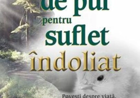 Supă de pui pentru suflet îndoliat. Poveşti despre viaţă, moarte şi cum să treci peste pierderea unei persoane dragi