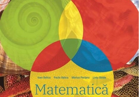 Matematică. Caiet pentru vacanța de vară. Clasa a VII-a