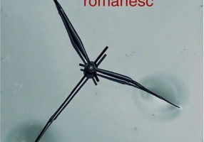 Postmodernismul românesc