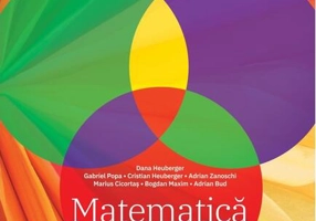 Matematică pentru excelență. Clasa a VI-a