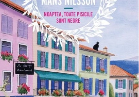 Noaptea, toate pisicile sunt negre