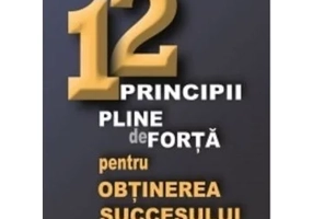 12 principii pline de forta pentru obtinerea succesului