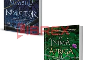 Seria Distrugatorii de blesteme. Set 2 carti