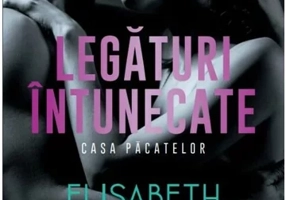 Legaturi intunecate. Casa Pacatelor