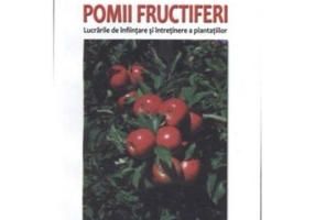 Pomii fructiferi. Lucrarile de infiintare si intretinere a plantatiilor
