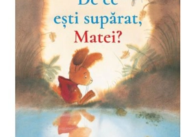 De ce esti suparat, Matei? - Brigitte Weninger, Eve Tharlet