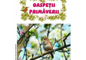 Oaspetii primaverii - Stefania Udrea, Daniela Dosa