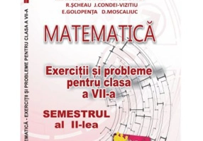 Matematica. Exercitii si probleme clasa a 7-a Semestrul al 2-lea - Delia Schneider