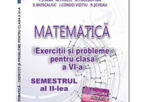 Matematica. Exercitii si probleme clasa a 6-a Semestrul al 2-lea - Delia Schneider