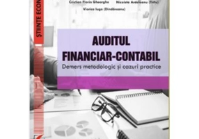 Auditul financiar-contabil. Demers metodologic si cazuri practice - Victor Munteanu