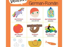 Hallo Deutsch! Dictionar ilustrat - Sam Hutchinson