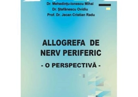 Allogrefa de nerv periferic, o perspectiva