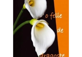 Taie-mi o felie de dragoste!