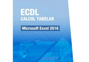 ECDL Calcul tabelar. Microsoft Excel 2016 - Raluca Constantinescu, Ionut Danaila