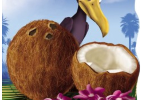 Nuca de cocos. Primii pasi - Vasile Romanciuc