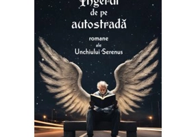 Ingerul de pe autostrada, editia a doua - Cristian Badilita