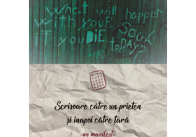 Scrisoare catre un prieten si inapoi catre tara. Un manifest - Ruxandra Cesereanu