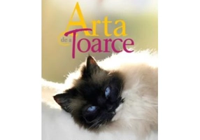 Pisica lui Dalai Lama si arta de a toarce - David Michie