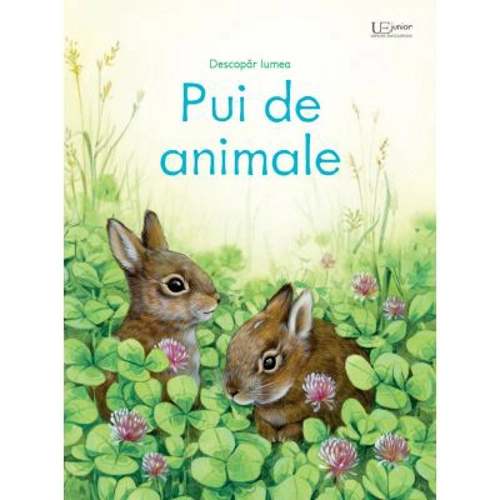 Pui de animale (Usborne)