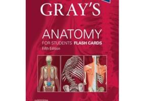 Gray's Anatomy for Students Flash Cards